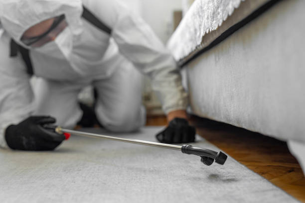 Professional Bed Bug Control technician working in Jackson County County, FL